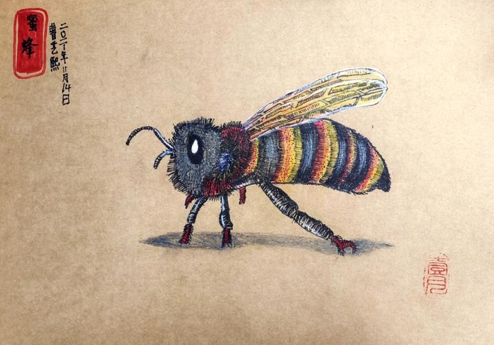 蜜蜂写生儿童绘画点线面线描