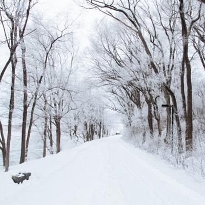 好看唯美森林下雪的美景微信头像图片_风景头像_美头网