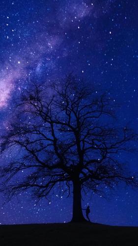 璀璨迷人的星空夜晚,图片大全,高清,图库-回车桌面