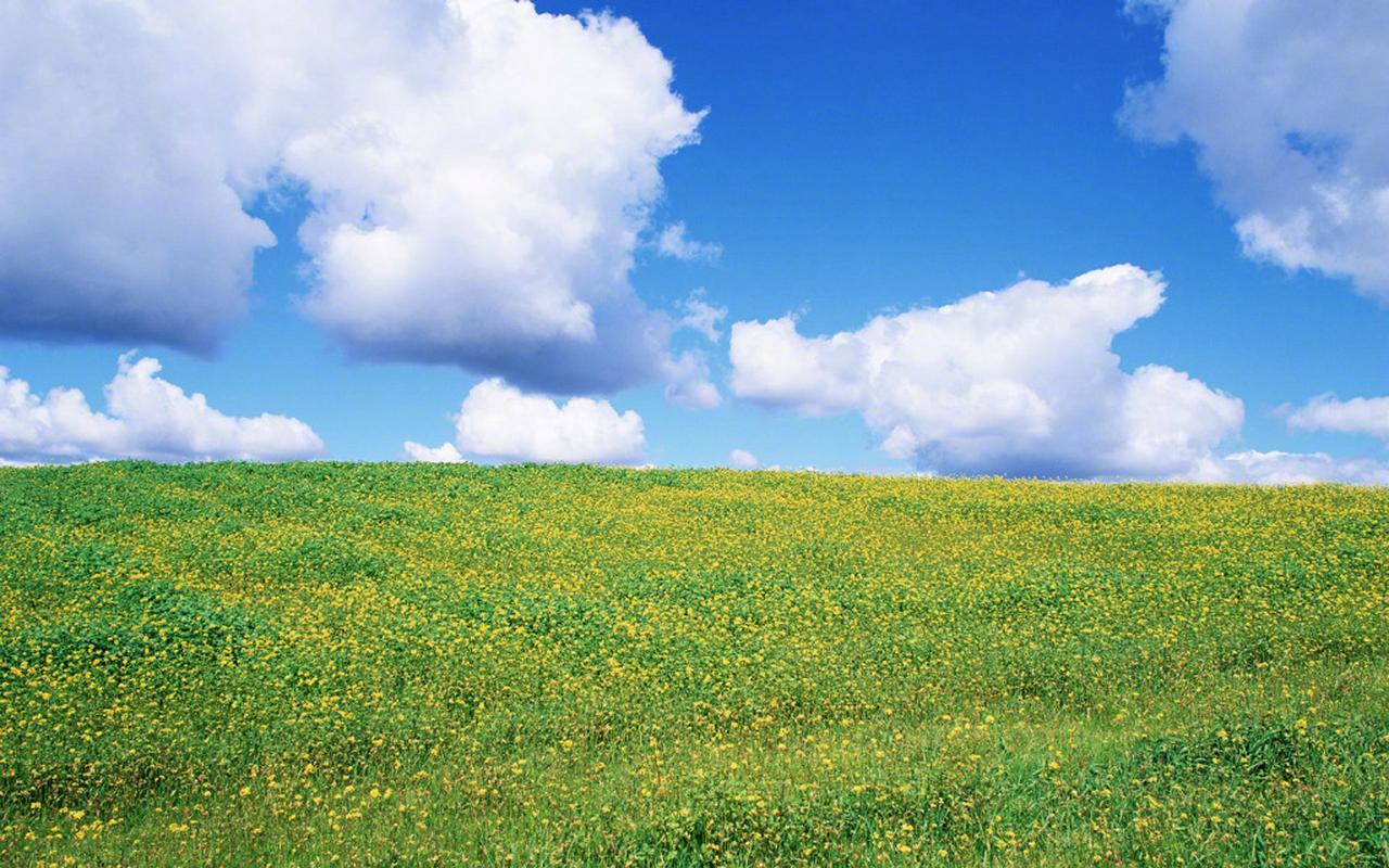 绿色草原高清风景图片桌面壁纸
