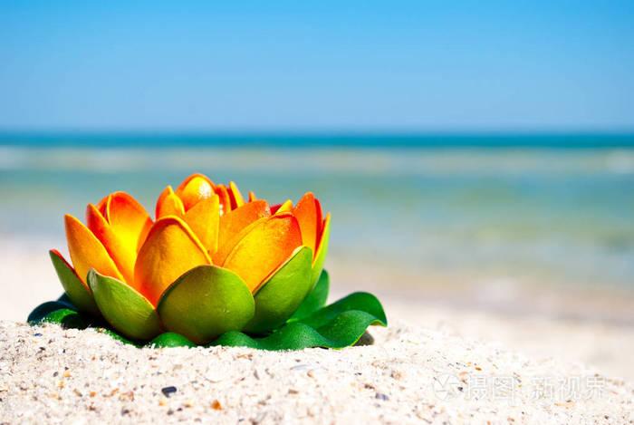 大橙莲花与绿叶在黄色的沙滩上, 蓝色的海洋背景和白色的波浪蓝天夏日