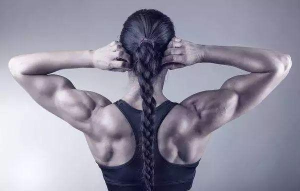 男女通用的练背指南每一块背部肌肉都安排的明明白白