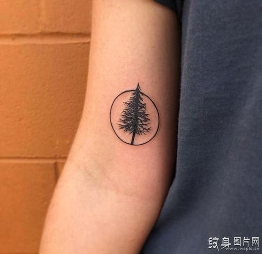 松树纹身图案欣赏寓意美好的树纹身设计
