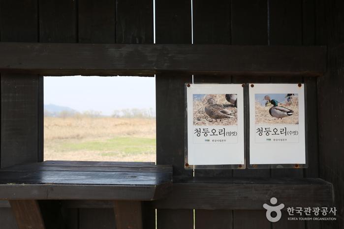 江西湿地生态公园 br>(7619283116517039) :韩国旅游