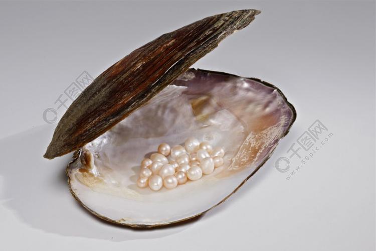 蚌壳中的珍珠