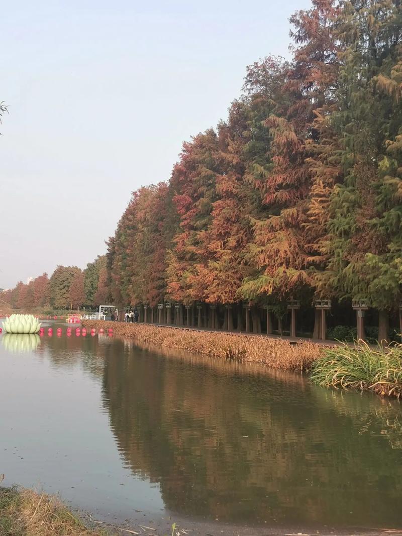 再游青山湖.青山湖位于杭州市临安区青山镇,被誉为临安第一景, - 抖音