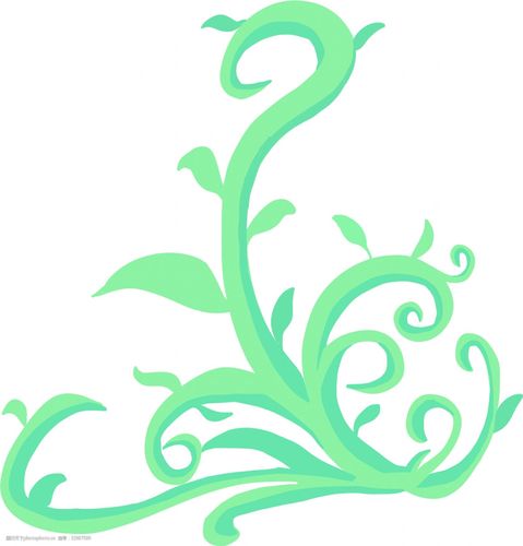 植物 绿色 唯美藤蔓 植物藤蔓 插画 花纹藤蔓 漂亮的藤蔓 藤蔓插图