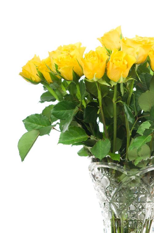 孤立在白色背景上的花瓶里的黄玫瑰