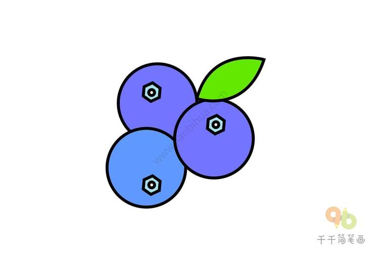 食物水果蓝莓简笔画,英文名称:blueberry,意为蓝色浆果,属杜鹃花科
