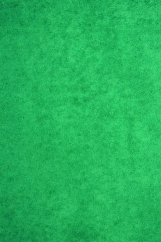 clairefontaine 丝绸纸/95450c 50x75厘米 墨绿色