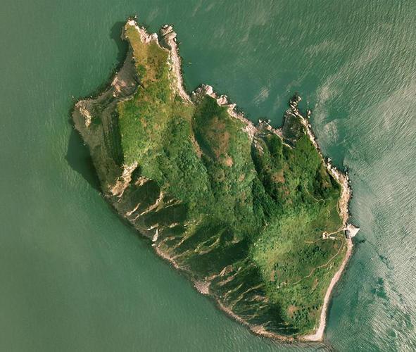 小龙山岛,中国唯一的蛇岛,一直以来都被人们所惧怕.
