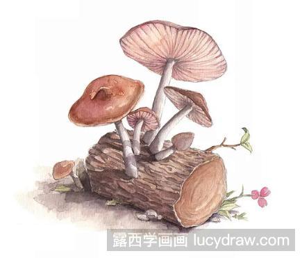 树桩上的蘑菇水彩画教程