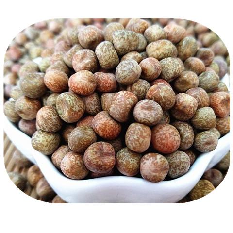 豆芽豌豆自种生1斤新鲜豆粒麻豌新豌豆农家豆苗其它