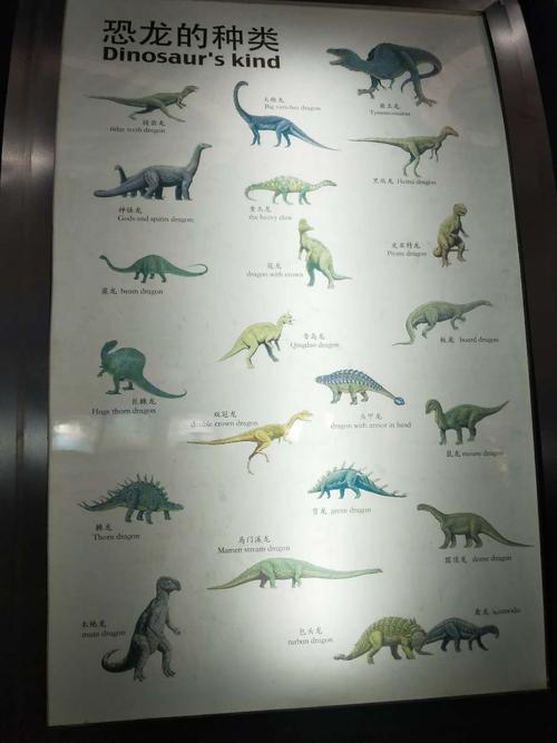 这是中国所发现恐龙的种类,有霸王龙,冠龙,板龙,鼠龙,双冠龙,马门溪龙