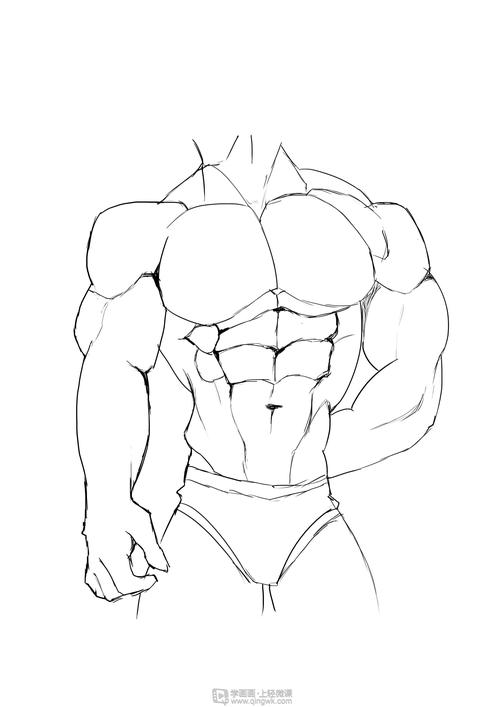 作业:如何学画手绘动漫人物之男性肌肉画法与训练技巧 - 卡蜜尔