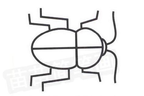 甲虫怎么画 甲虫怎么画简单又漂亮 | 多想派