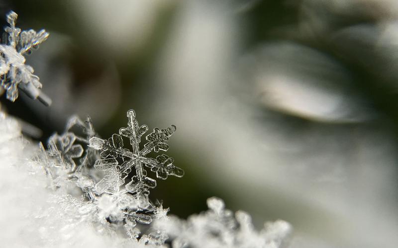 冬日里唯美的雪花风景 壁纸图片 _ 图片网