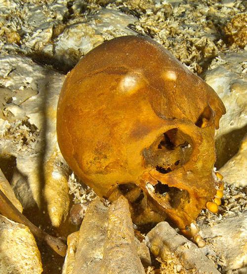墨西哥发现美洲地区最古老骷髅距今1万2千年组图