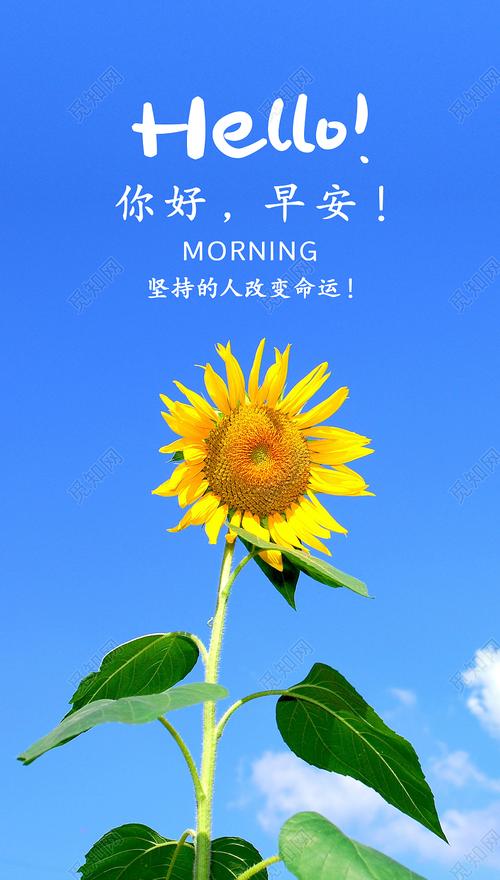 向日葵绽放天空背景你好早安每日一签手机ui海报手机海报