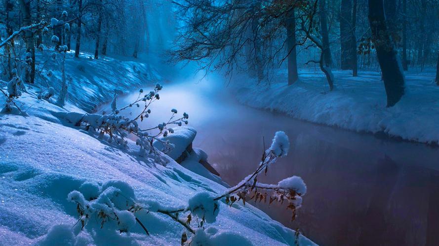 冬天树木森林白雪自然风景精选桌面壁纸图片下载