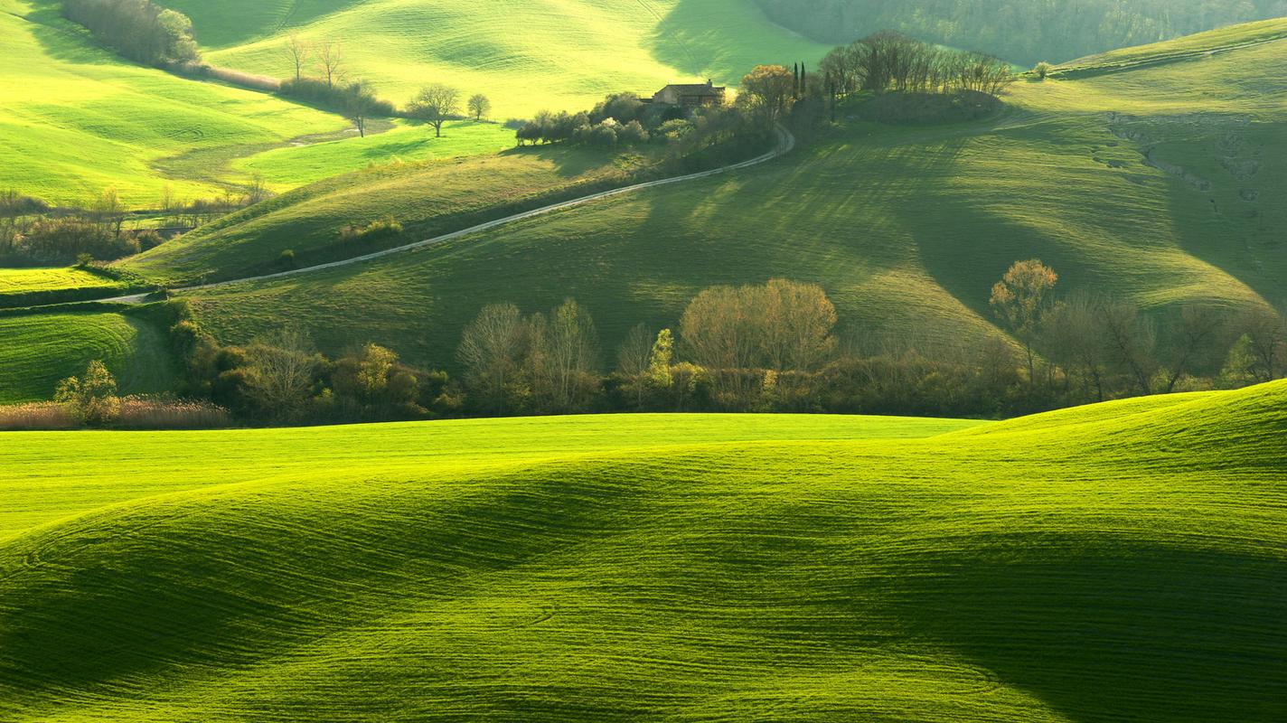 高清绿色护眼自然风景图片桌面壁纸,一望无际的绿色大自然风景,在视觉