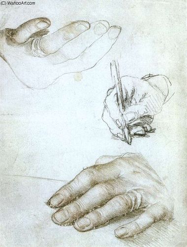 studies of the hands of erasmus of rotterdam by