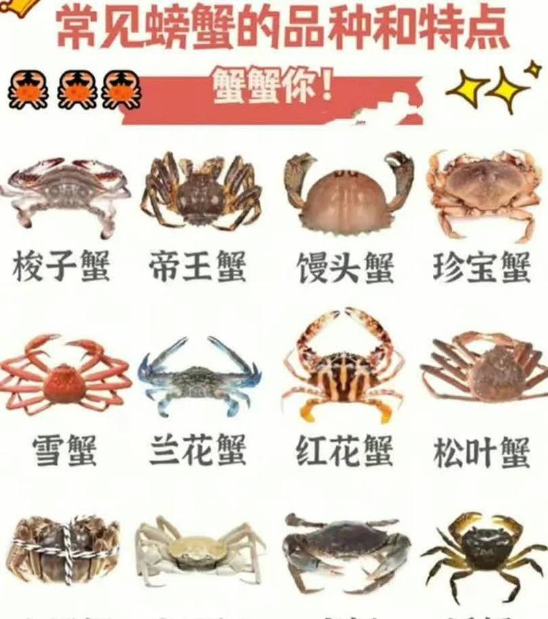 一图教你识别常见螃蟹品种.[你懂的]
