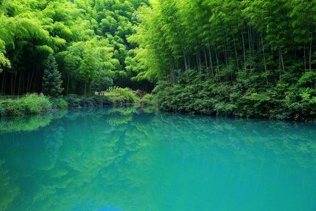 中国最美竹海:拥有近4万亩翠绿的竹林,常年青翠就在苏皖边界!