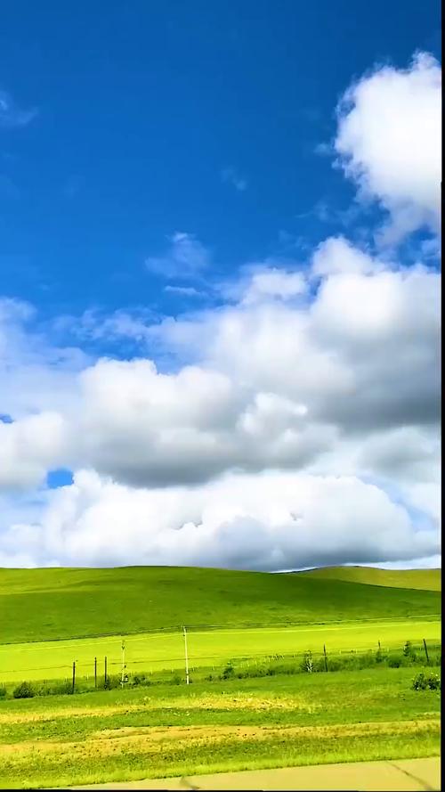 大草原的蓝天白云,充满生机的绿,太舒服了