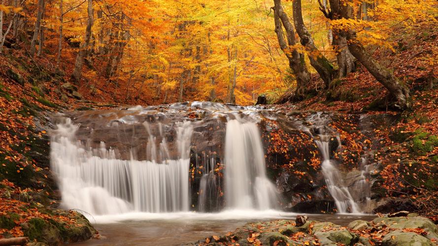 壁纸 瀑布,森林,树木,岩石,秋天