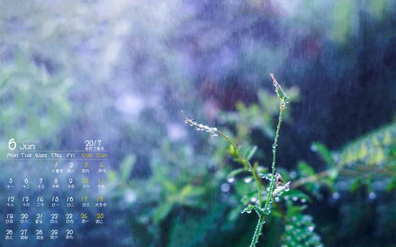 2017年6月清新唯美的下雨天高清日历壁纸