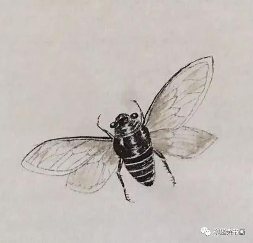 唐 虞世南著名小写意画家萧朗先生的画蝉步骤来源:《萧朗画草虫