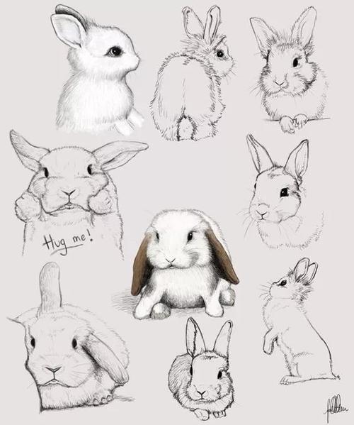 萌萌哒小兔子!这些素描都特别特别可爱!