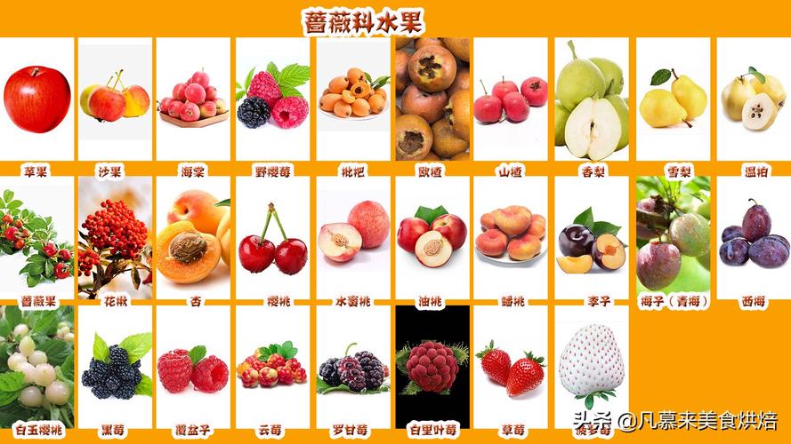 水果有哪些品种(水果种类大全)