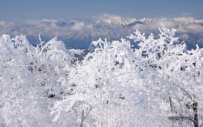 【4k超高清日本】第一视角 雾冰闪耀的严冬圣高原 (1080p高清版)
