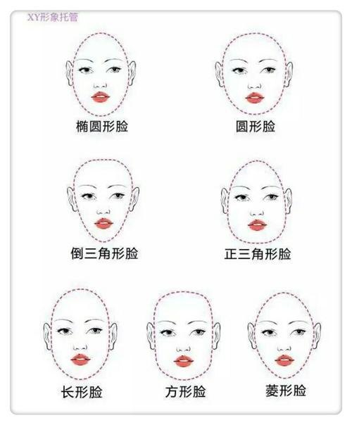 而脸型分为七种