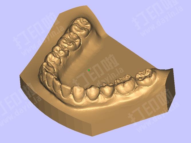 标准牙模-3d打印模型