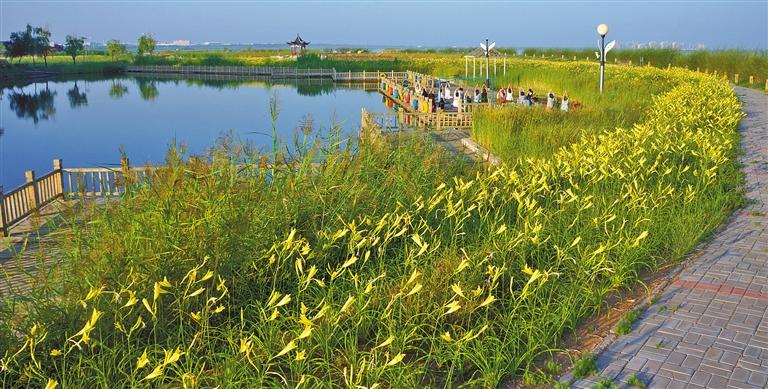 伊金霍洛旗红海子湿地公园成为人们休闲娱乐的好去处.
