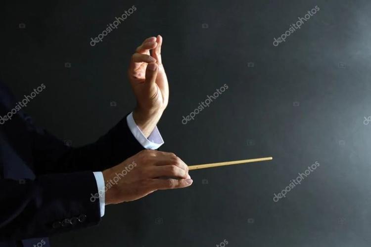 绘画参考一组音乐会指挥家的手部姿势参考