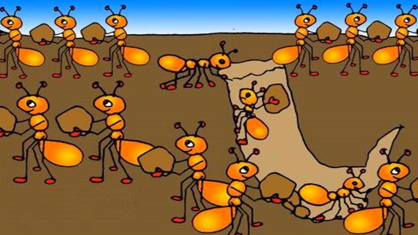 蚂蚁能意识到我们的存在吗?我们踩到蚂蚁对它来说算是飞来横祸吗