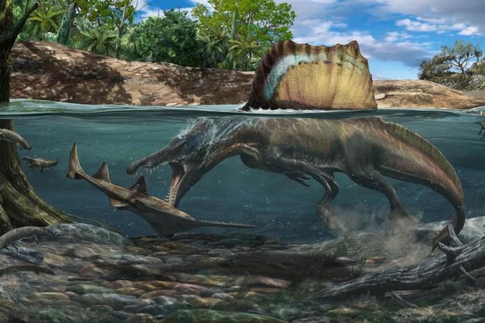 新骨骼研究认为棘龙是在水下捕食猎物的