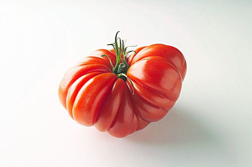 牛番茄
