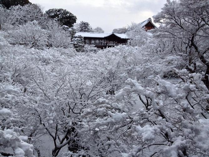 不缇的相册-2015年元旦雪之京都神社寺庙