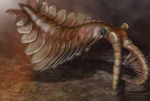 地球上10大史前巨兽第一梅尔维尔鲸第三野猪鳄第九远古蜈蚣