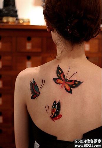 美女背部蝴蝶飞舞纹身图案图案