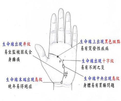 2.智慧线 又叫做人纹.从大拇指