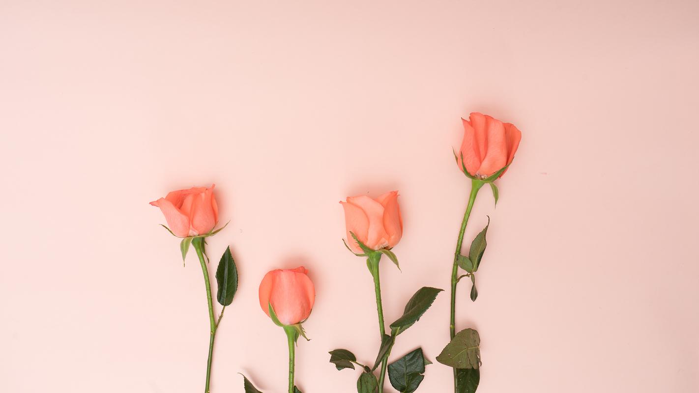 创意玫瑰花瓣摄影高清宽屏壁纸
