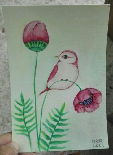 "鸟与花"水彩画 临摹