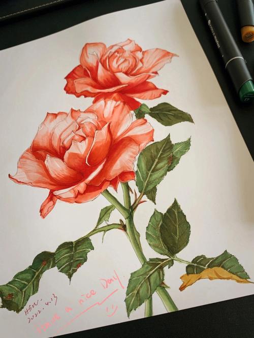 马克笔花卉手绘玫瑰花束