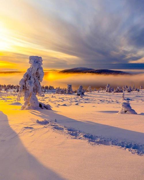 芬兰冬日唯美雪景风光